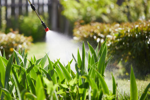 Tamper-Resistant Bait Stations for Rodents in Fremont