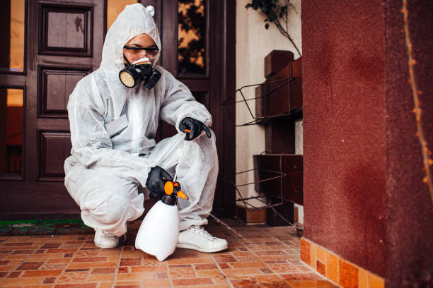 Attic and Crawl Space Rodent Treatment in Fremont